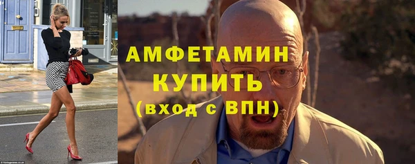амф Ладушкин