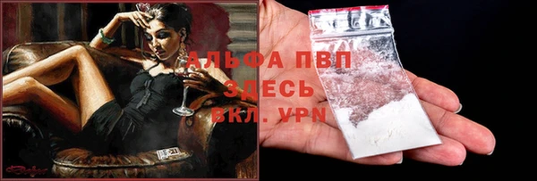 амф Ладушкин