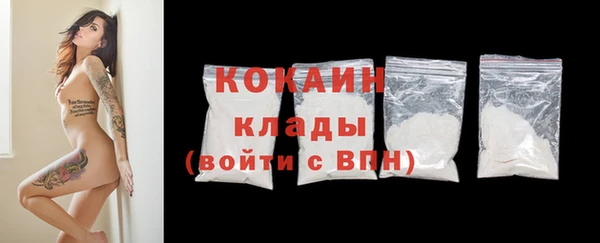 амф Ладушкин