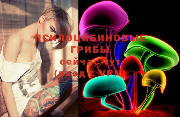 амф Ладушкин