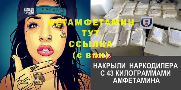 амф Ладушкин