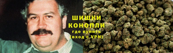 мет Лагань