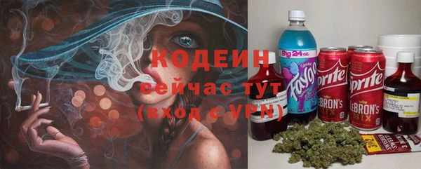 мет Лагань