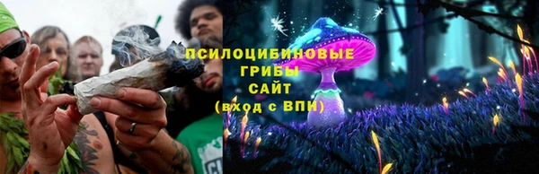 амф Ладушкин