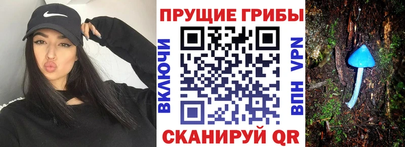 Псилоцибиновые грибы прущие грибы  Купить где  Миасс 